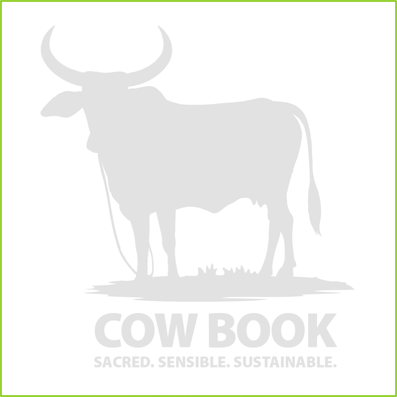Cow Dung Cake